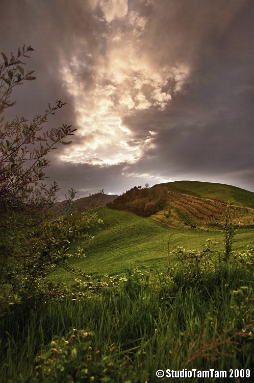 Mistico tramonto sui vigneti.jpg